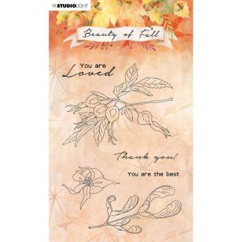 Studio Light - Clear Stamp pel beauty of fall Hagebutten nr.64