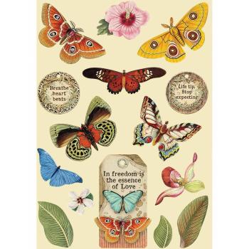 Stamperia " Amazonia Butterfly" Wooden Shapes - Holzteile
