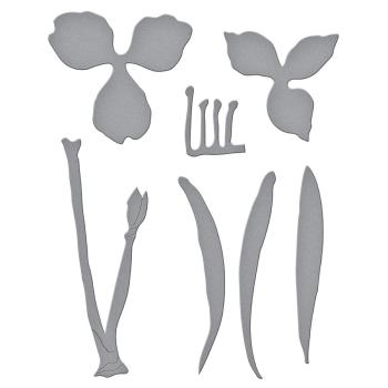 Spellbinders Die "Amaryllis Etched" Stanzschablone