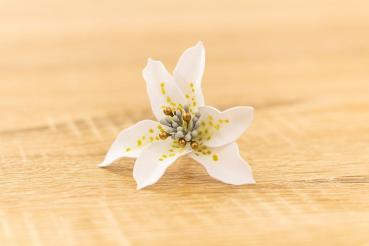 Crafters Companion - Flower Forming Foam Natural White