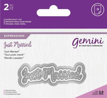 Gemini Just Married Expressions Dies  - Stanze - 
