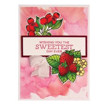 Spellbinders Stempel & Stanzset "Lemon Stamp And Die Set"