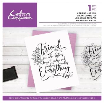 Crafters Companion - Friends for Life - A Friend Like You - Clear Stamps