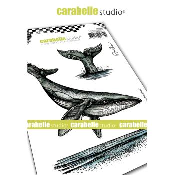 Carabelle Studio - Cling Stamp Art - Le Chant Des Baleines - Stempel