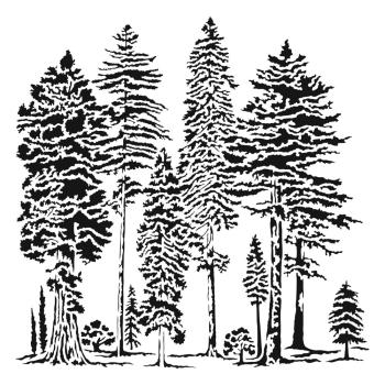The Crafters Workshop - Stencil - Majestic Forest - 6x6" - Schablone