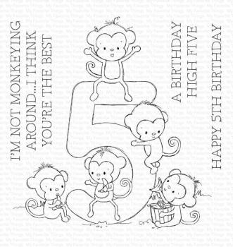 My Favorite Things Stempelset "Number Fun 5" Clear Stamp