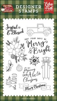 Echo Park - Clear Stamp - " Joyful And Blessed " - Stempelset