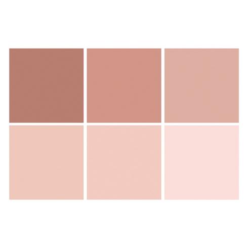 The Paper Boutique - Colour Card -  Everyday shades of Blush  - 8x8 Inch - Cardstock