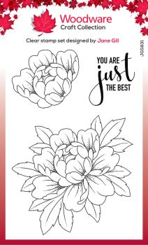Woodware - Clear Stamps - Just The Best  - Stempel 