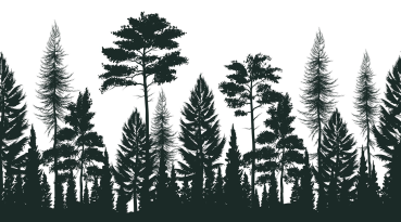 Creative Expressions - Rubber Stamp -  Evergreen Horizon - Gummistempel