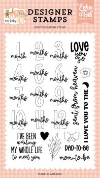 Echo Park - Stempel "Our Baby Girl Months" Clear Stamps