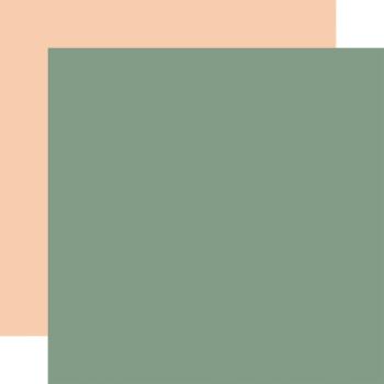 Echo Park - Cardstock "Our Baby" Coordinating Solids Paper 12x12 Inch - 6 Bogen 