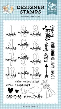 Echo Park - Stempel "Baby Boy Months" Clear Stamps