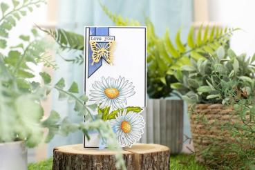Crafters Companion - Designpapier "Delightful Daisies" Paper Pack 12x12 Inch - 36 Bogen