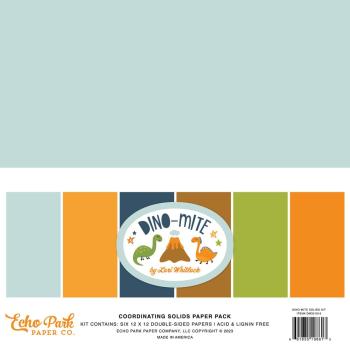 Echo Park - Cardstock "Dino-Mite" Coordinating Solids Paper 12x12 Inch - Bogen 