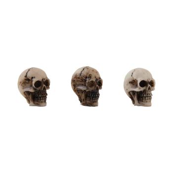 Tim Holtz - Idea Ology - Resin Totenköpfe "Skulls + Bones"