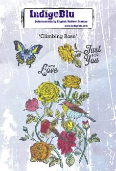 IndigoBlu - Gummistempel Set "Climbing Rose" A6 Rubber Stamp