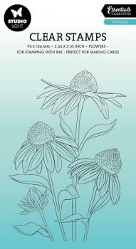 Studio Light - Stempel "Echinacea" Clear Stamps