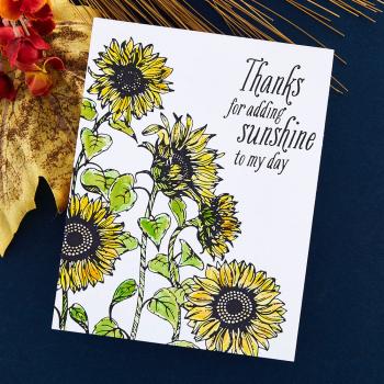 Spellbinders - Buchdrucktechnik "Sunflower Field" Press Plate