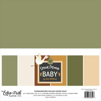 Echo Park - Cardstock "Special Delivery Baby" Coordinating Solids Paper 12x12 Inch - 6 Bogen 