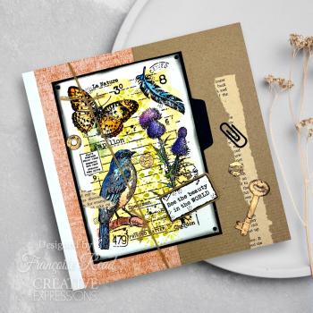 Woodware - Stanzschablone "Read Lost & Found" Dies 