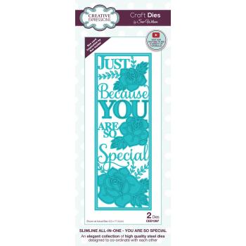 Creative Expressions - Stanzschablone "Slimline All in one You are so special" Craft Dies Design by Sue Wilson
