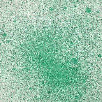 Cosmic Shimmer - Sprühfarbe auf Wasserbasis "Eucalyptus Leaves" Botanical Spray 60ml