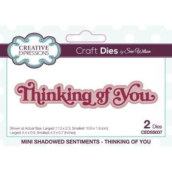Creative Expressions - Stanzschablone "Thinking of You" Shadowed Sentiments Dies Mini Design by Sue Wilson