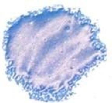 Cosmic Shimmer - Embossingpulver "Navy Viola" Blaze Embossing Powder 20ml