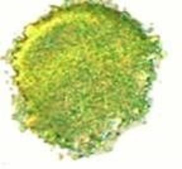 Cosmic Shimmer - Embossingpulver "Tropic Moss" Blaze Embossing Powder 20ml