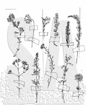 Stampers Anonymous - Gummistempelset "Forgotten Garden" Cling Stamp Design by Tim Holtz