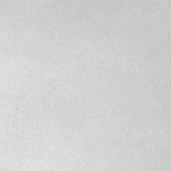 Pink Ink Designs - Pigmentpulver "Silver Moon" Stardust 10ml