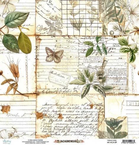 Mintay Papers - Papier Elemente "Academia" Paper Elements 12x12 Inch