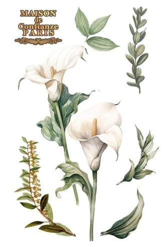 Papers For you - Transfer Aufkleber "Calla Lily" Decor Transfers 8x12 Inch