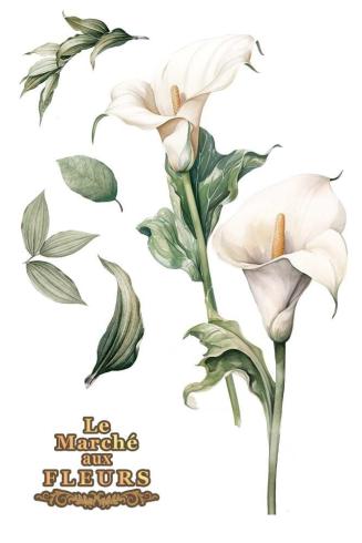 Papers For you - Transfer Aufkleber "Calla Lily" Decor Transfers 8x12 Inch