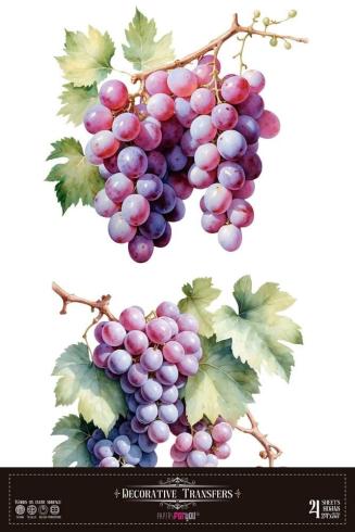 Papers For you - Transfer Aufkleber "Grapes" Decor Transfers 24x35 Inch