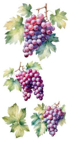 Papers For you - Transfer Aufkleber "Grapes" Decor Transfers 6x12 Inch