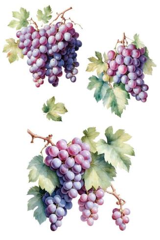 Papers For you - Transfer Aufkleber "Grapes" Decor Transfers 8x12 Inch