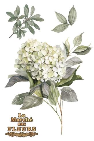 Papers For you - Transfer Aufkleber "Hydrangeas" Decor Transfers 8x12 Inch