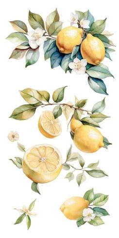 Papers For you - Transfer Aufkleber "Lemon" Decor Transfers 6x12 Inch