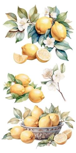 Papers For you - Transfer Aufkleber "Lemon" Decor Transfers 6x12 Inch