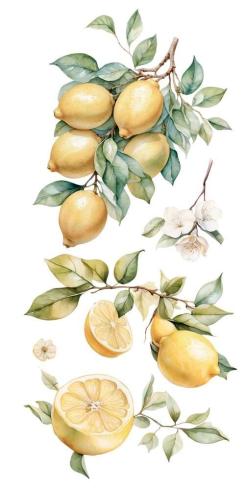 Papers For you - Transfer Aufkleber "Lemon" Decor Transfers 6x12 Inch