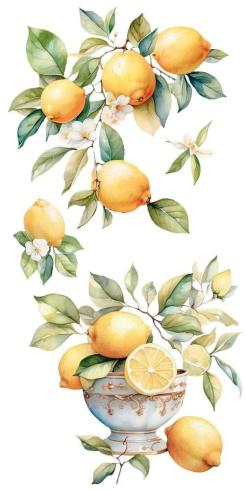Papers For you - Transfer Aufkleber "Lemon" Decor Transfers 6x12 Inch