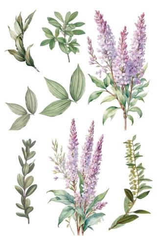 Papers For you - Transfer Aufkleber "Lilacs" Decor Transfers 8x12 Inch