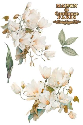 Papers For you - Transfer Aufkleber "Magnolias" Decor Transfers 8x12 Inch