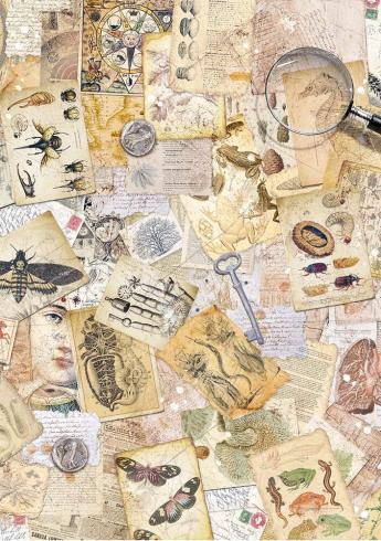 Ciao Bella - Decopatch Papier "Cabinet of Curiosities" Rice Paper A5 - 8 Bogen