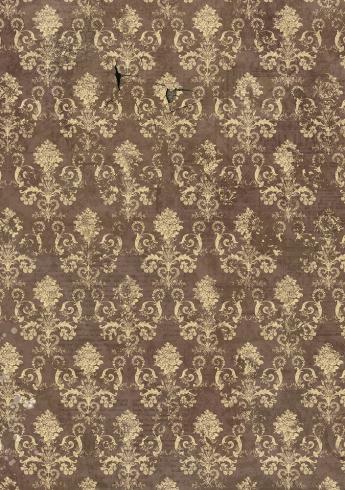 Ciao Bella - Decopatch Papier "Cabinet of Curiosities" Rice Paper A5 - 8 Bogen