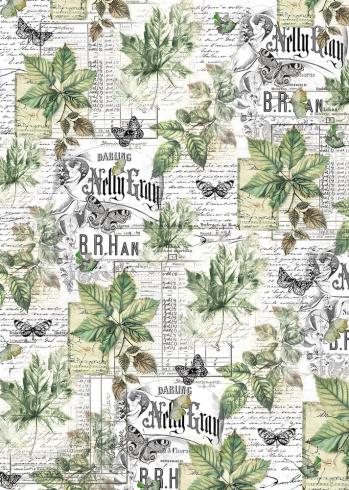Ciao Bella - Pergamentpapier "Cabinet of Curiosities" Vellum A4 - 6 Bogen