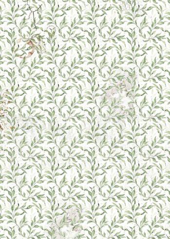 Ciao Bella - Pergamentpapier "Cabinet of Curiosities" Vellum A4 - 6 Bogen