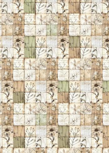 Ciao Bella - Pergamentpapier "Cabinet of Curiosities" Vellum A4 - 6 Bogen
